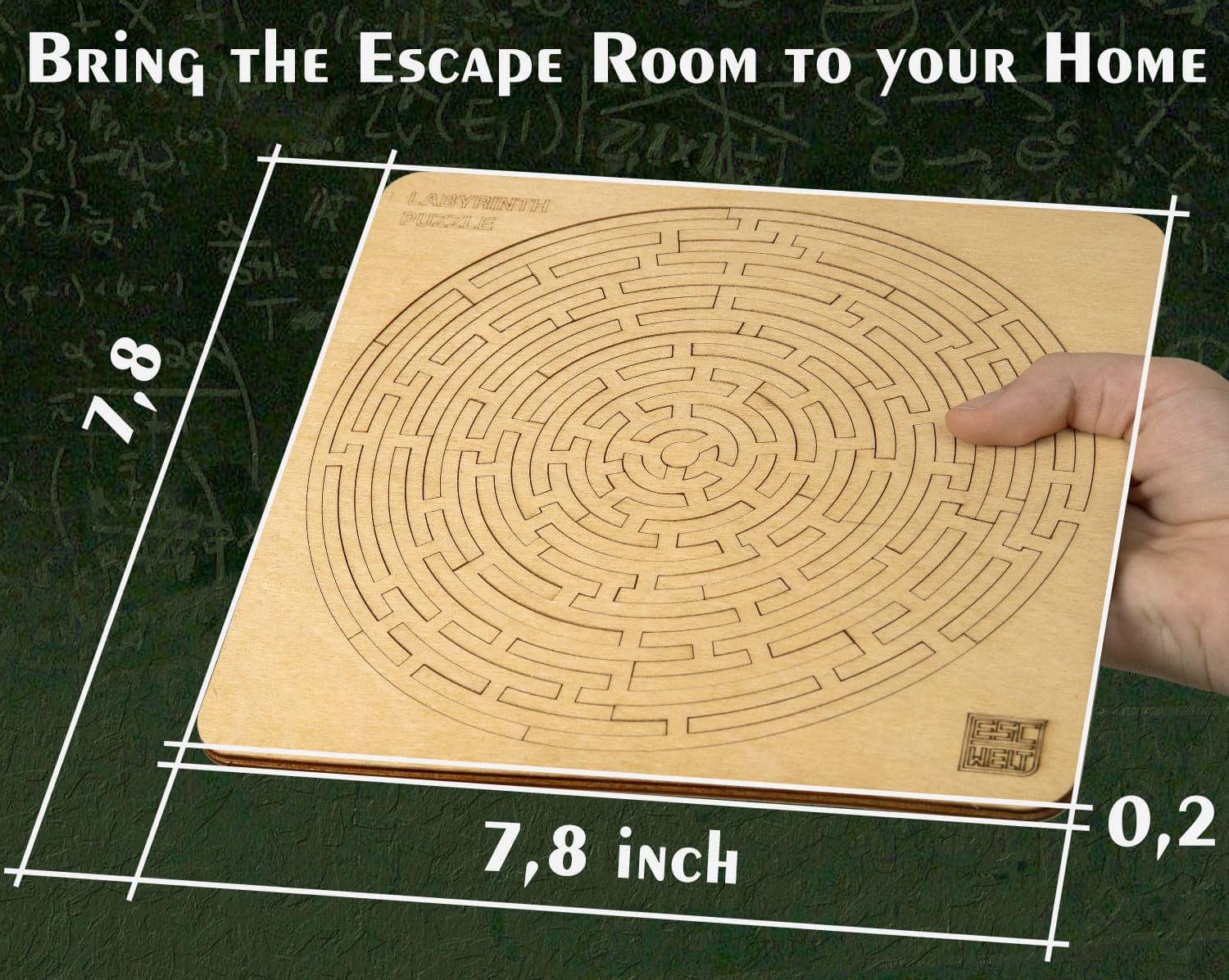 Images and photos of Labyrinth Puzzle. ESC WELT.